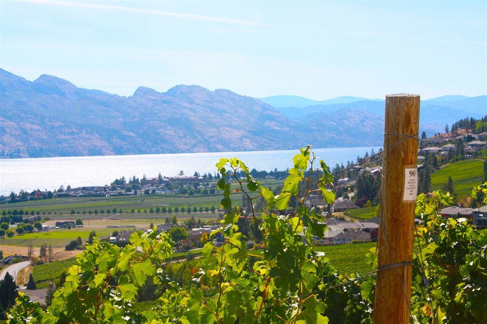 Lake Okanagan Bed And Breakfast เวสต์ เคโลว์นา ภายนอก รูปภาพ